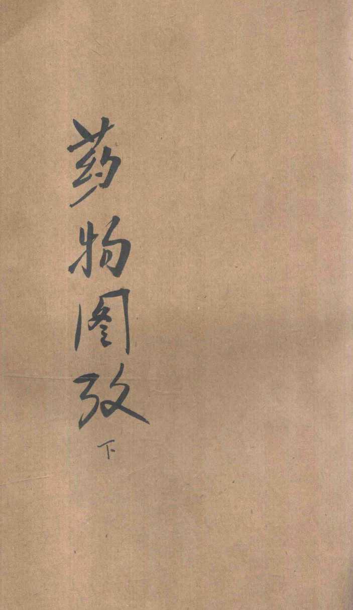 中央国医馆医药丛书  药物图考  卷4-6